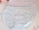 有棵树A类婴儿棉女士内裤女纯棉10A抗菌加长裆高弹透气精梳棉女生三角裤 实拍图