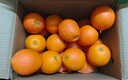 京觅秭归脐橙纽荷尔橙子净重9斤精品果200g+新鲜水果礼盒源头直发包邮 实拍图