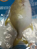 翔泰海南深海金鲳鱼700g 2条 火锅 年货节生鲜鱼类 BAP认证 海鲜水产  实拍图