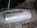 美丽雅保鲜袋背心式食品级200只 加大号密封袋 一次性冰箱连卷分装袋 实拍图