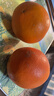 京觅 赣南脐橙 净重9斤单果200g+新鲜水果生鲜甜橙子应季源头直发 实拍图