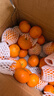 京觅四会砂糖橘新鲜水果柑橘沙糖桔 净4.5斤 单果45-55mm源头直发包邮 实拍图