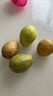 京觅福建奶油芭乐 番石榴 单果150g起 净重4.5斤装 源头直发包邮 实拍图
