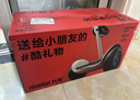 九号（Ninebot）电动平衡车代步电动车腿控智能礼物双轮腿控体感L6白色定制礼盒款 实拍图