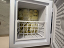 北极熊（BEIJIXIONG）冰柜家用冷柜小型一级能效全冷冻冷藏两用卧式储奶母乳速冻保鲜节能省电100升/200升/300升 单门单温61升【万人力荐 一级能效】 61L 实拍图