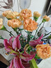 钟爱云南昆明基地直发鲜切花家庭水养插花花束生活鲜花玫瑰康乃馨 随机20支康乃馨+随机颜色百合5朵 实拍图