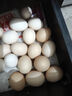 耕果妙林下散养土鸡蛋30枚初生蛋2.4斤农家柴鸡蛋包邮 源头直发 实拍图