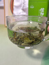 七春2025绿茶信阳毛尖新茶河南特产小罐装品鉴茶叶100g 实拍图