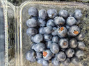 怡颗莓Driscoll's云南蓝莓14mm+ 6盒装 约125g/盒  水果年货礼盒 实拍图