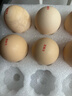 京鲜生可生食标准鲜鸡蛋30枚礼盒装3斤 源头直发 实拍图