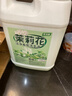 圣洁康山茶花洗手液补充装5斤 儿童家庭酒店餐厅抑菌滋润泡沫洗手液大桶 啫喱款【茉莉花】5斤装补充液 实拍图