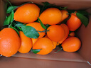 渝奉顺丰正宗重庆奉节脐橙薄皮大果现摘孕妇水果新鲜当季10斤20甜橙子 【大果80-85】纽荷尔/推荐款 带箱子20斤 实拍图