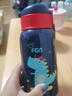 FGA富光儿童保温杯316不锈钢男女宝宝学生吸管水杯子大容量壶580ML 实拍图