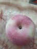京地达山东烟台栖霞红富士苹果85级9斤大果 精选烟台苹果水果源头直发 实拍图