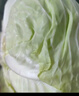 有机汇有机绿甘蓝 生鲜包菜大头菜 新鲜有机 产地种植 营养丰富零农残 圆甘蓝 500g 实拍图