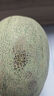 现货正宗保甜当季新鲜水果脆甜晓蜜哈密瓜 精选1.5--2斤（1颗装） 实拍图