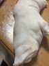 鲁南顺发整只猪蹄 4只共1800g 猪脚整个烧烤煲汤 源头直发 实拍图