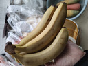 黄胖子进口香蕉650g 实拍图