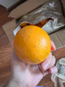 褚橙旗下云冠橙褚时健励志橙子云南冰糖橙10斤礼盒当季新鲜水果 京东空运L优级10斤礼盒【32个左右】 实拍图
