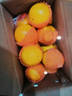 京觅秭归九月红果冻橙爆汁橙子净重9斤单果200g+新鲜水果源头直发包邮 实拍图