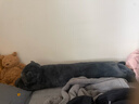 野兽派家居（tbh）懒蓝猫长条抱枕 枕头靠垫家用客厅沙发腰枕床头靠枕礼物 懒蓝猫条形抱枕22X115cm 0cm*0cm 含枕芯 实拍图