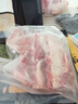 京东跑山猪 黑猪精肋排800g冷冻整切黑猪肋排猪肋条 京东生鲜黑猪肉 实拍图