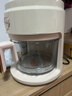 APIXINTL安本素空气炸锅家用 4L大容量免翻面 蒸汽嫩炸全景可视化全玻璃炸篮一体机APIX-AFD12 实拍图