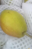 京鲜生 新疆特级库尔勒香梨 净重5斤单果120g以上 生鲜水果 实拍图