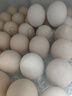 京鲜生【每日鲜蛋】无抗谷物鸡蛋30枚 3.18斤 当日产蛋 当日发货 实拍图