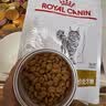 皇家泌尿道处方猫粮LP34稀释尿液溶解鸟粪石成猫处方粮配方粮3.5KG*2 实拍图