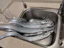 鲜享欢带鱼 海钓特级大带鱼整条带鱼整箱刀鱼 生鲜鱼类春节年货礼盒 5斤装（6-9两/条） 带鱼 实拍图