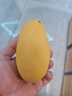 海南小台芒2026新鲜上市芒果热带果园 带箱9斤【单果70g+】 实拍图
