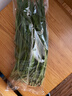 安心韭菜250g 实拍图