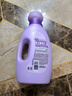 金纺衣物香水香氛固色柔顺剂液【洗衣搭档】薰衣草2斤尝鲜装抗皱护色 实拍图