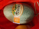北纬23°西州蜜瓜约1.3kg 实拍图