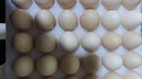 京鲜生【每日鲜蛋】无抗谷物鸡蛋30枚 3.18斤 当日产蛋 当日发货 实拍图