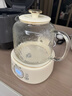 小熊（Bear）全玻璃养生壶 纯玻璃多功能恒温壶 办公室轻音炖煮花茶 1L YSH-J10D1 实拍图
