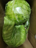 高原夏菜新鲜包菜卷心菜绿甘南菜甘蓝圆白菜时令蔬菜健康营养早餐 1.5斤-2斤高端标准菜 实拍图