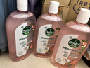 滴露（Dettol）香氛自然衣物消毒液杀菌48H留香洗衣除汗臭儿童玩具消毒水1L*4 实拍图