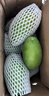 京鲜生广西杨枝甘露大青芒 巨无霸果净重4.5斤 单果500g起 水果源头直发 实拍图