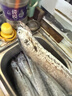 鱻谣北纬29-30°东海大号油带鱼礼盒净重8斤 单条4-6两 海鲜礼盒年货 实拍图