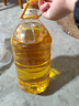 金龙鱼 食用油 葵花籽清香型调和油5L （新老包装随机发货） 实拍图