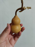 天然葫芦文玩带龙头手捻把玩小精品野生葫芦迷你家居客厅摆件 1个精品级【4-6厘米龙头葫芦】 实拍图