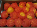 京鲜生 耙耙柑 净重5斤装 单果150g起 生鲜柑橘桔子水果年货礼盒  实拍图