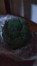 轻食西兰花绿色花菜花椰菜减脂低卡新鲜蔬菜产地批发 新鲜青花1斤【西兰花】 实拍图