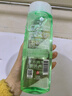 蜂花芦荟水润洗发水芦荟绿茶补水去油男女士洗发露膏500ml 实拍图
