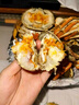【活蟹】湖鲜阳澄大闸蟹全母3.9-4.2两8只去绳足重过年鲜活年货螃蟹送礼礼盒装源头直发 实拍图