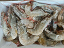 鲜京采 渤海湾有机盐田海白虾 净重3斤  单冻 75-90只/盒 年货送礼 实拍图