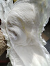 花王品牌进口妙而舒纸尿裤S82片(4-8kg)小号婴儿尿不湿柔软亲肤超吸收 实拍图