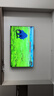 华为Vision智慧屏 5 SE 75英寸 鸿蒙AI搜片MiniLED鸿鹄画质 一级能效国家补贴投屏平板电视机HD75KULU 实拍图